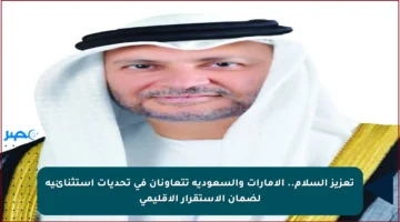 تعزيز السلام.. الإمارات والسعودية تتعاونان في تحديات استثنائية لضمان الاستقرار الإقليمي